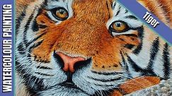 Tiger Cub in Watercolour with Paul Hopkinson