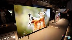 Sony 8K TV at CES 2020