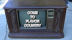 Hideous Quasar Smokers Choice 1984 Color Television NASTY