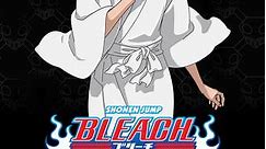 Bleach (English Dubbed): Season 2 Episode 50 50