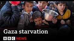 Evidence that Israel is using starvation as weapon of war in Gaza says UN | BBC News