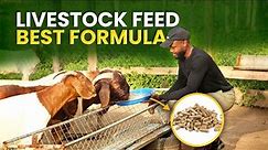 HOW TO MAKE THE BEST FEED FOR YOUR GOATS AS A FARMER IN AFRICA| Goat Feeding Formula