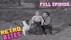 Lassie | Young Flyers | Full Episode | Old TV Show | Retro Bites