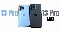 iPhone 13 Pro vs iPhone 13 Pro Max - A Year Later!