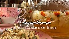 Chrysanthemum Tea: From Garden to Tea Cup | Health Benefits + Growing & Drying flowers for tea