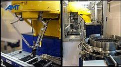 Automated Pick and Place with FANUC Delta Robot