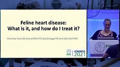 Feline heart disease - Charlotte Pace BA (Hons) RVN VTS (Cardiology) PG Cert (Vet Ed) FHEA