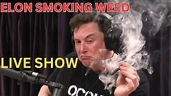Elon Musk's Controversial Moment: Smoking Weed with Joe Rogan | Exclusive Interview