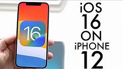 iOS 16 On iPhone 12! (Review)