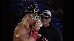 WWF Wrestling January 1995