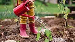 The Ultimate Kids Gardening Kit - Bunnings New Zealand