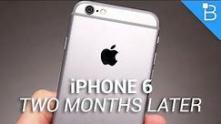 Apple iPhone 6: Two Months Later
