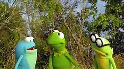 Kermit's Swamp Years - Trailer copy