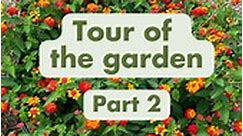 Texas Eco Farms Garden Tour Pt. 2!