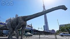 [恐竜CG] 日本最大の恐竜『丹波竜』とは！？ | 恐竜超世界 | NHKスペシャル | Japanese dinosaurs CG | NHK
