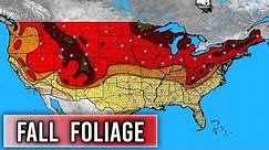 When to Expect your Peak Fall Foliage + Fall Forecast