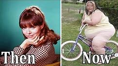 Get Smart 1965 Cast: THEN and NOW [57 Years After]