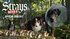 Strays | Official Trailer 2