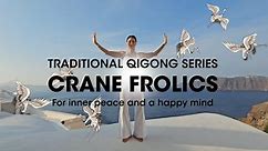 YOQI White Crane Frolics Qigong with Marisa Cranfill (YMAA)