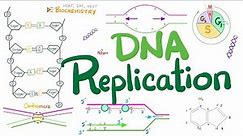 DNA replication in Prokaryotes & Eukaryotes (DETAILED) | Molecular Biology 🧬 & Biochemistry 🧪