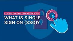 What is Single Sign On (SSO)?