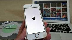 Fix Apple Logo Stuck On Any iPhone 5 5s SE 6 6s 6s+ 7 7+ 8 8+ X XR XS MAX! 12 12 18!