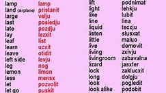 Free talking dictionary 2/3 - English - Slovio - online video version with pronunciation.