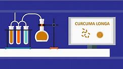 Curcumin C3 Complex®