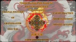 BURNING PALM SYSTEM: RED CROWN SECT 9 STANDING NIGHT MEDITATIONS