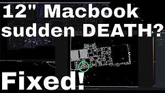 12" Macbook A1534 DEAD how to fix COMMON FAILURE!