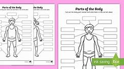 Body Parts Cut and Stick Worksheet