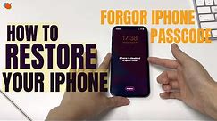 Forgot Your iPhone Passcode? Here's How to Restore Your iPhone (12, 11, XR, XS, X, etc.) - AppGeeker
