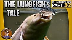 The Lungfish's Tale