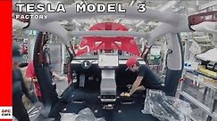 Tesla Model 3 Factory