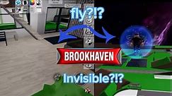 HOW TO FLY AND BE INVISIBLE IN BROOKHAVEN!!