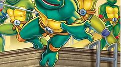 Teenage Mutant Ninja Turtles (Animated): Season 7 Episode 10 Turtles on the Orient Express