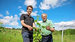 Winzer Paul Clauss setzt auf nachhaltigen Anbau: Bio-Wein von der Domäne Weil in Ostfildern - Esslinger Zeitung