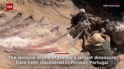See these massive dinosaur bones discovered in Europe