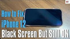iPhone 12 Black Screen | Fix Black Screen But Still On & Black Screen Of Death with 4 Methods