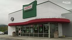 Family of hungry bears raids Krispy Kreme delivery van