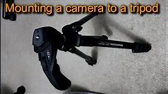 How to mount camera to tripod (Manfrotto)