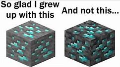 Minecraft Memes 54