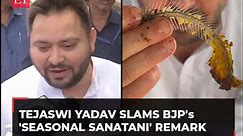 'BJP failed in IQ Test...': Tejaswi Yadav responds to Giriraj's 'Seasonal Sanatani' remark