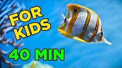 Fun Underwater Adventure for KIDS! (40 Minutes)