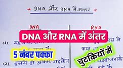 DNA और RNA में अंतर // Difference between DNA and RNA // 12th biology important question
