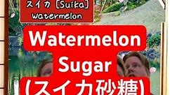 Watermelon Sugar…literally? #watermelonsugar #harrystyles #邦楽 #japanesetraditionalmusic