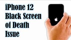 How to Fix the iPhone 12 Black Screen of Death Issue