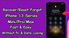 iPhone 13 Series Unlock Forgot Passcode ! Recover Forgot iPhone 13 Passcode ! No Data Losing 2023