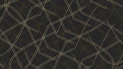 abstract texture background ,lines, black, use for wallpaper, event background, moving background, creative background