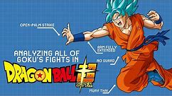 Goku's Fighting Style EXPLAINED- Dragon Ball Super [Old Version]